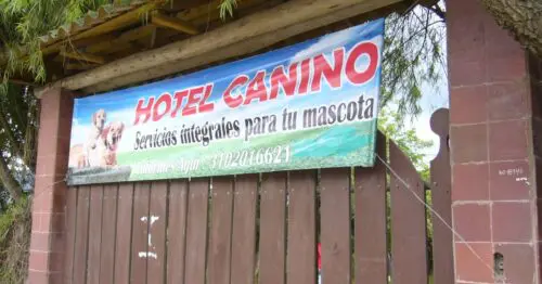 HOTEL CANINO CHIA BOGOTÁ HOTEL CANINO CHIA BOGOTÁ